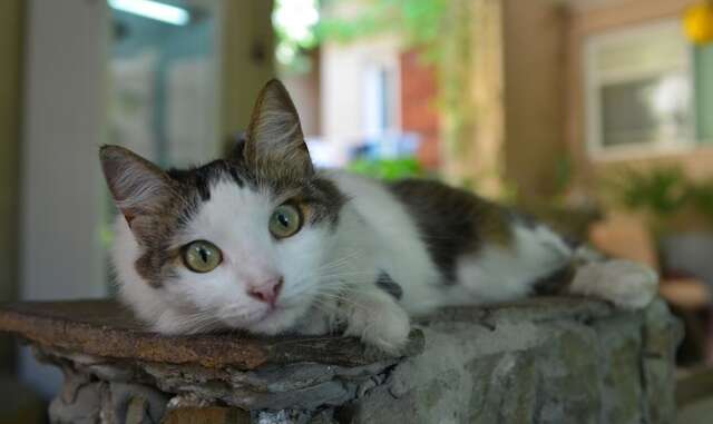 Гостевой дом Эдем Судак-31
