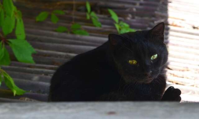 Гостевой дом Эдем Судак-32